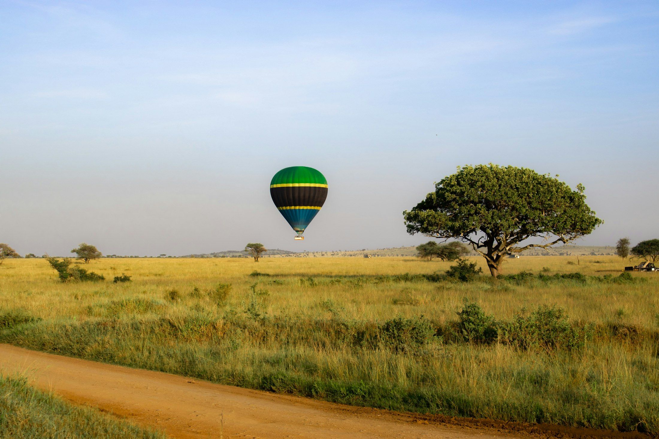 Une montgolfière au-dessus de la savane, près d'un acacia