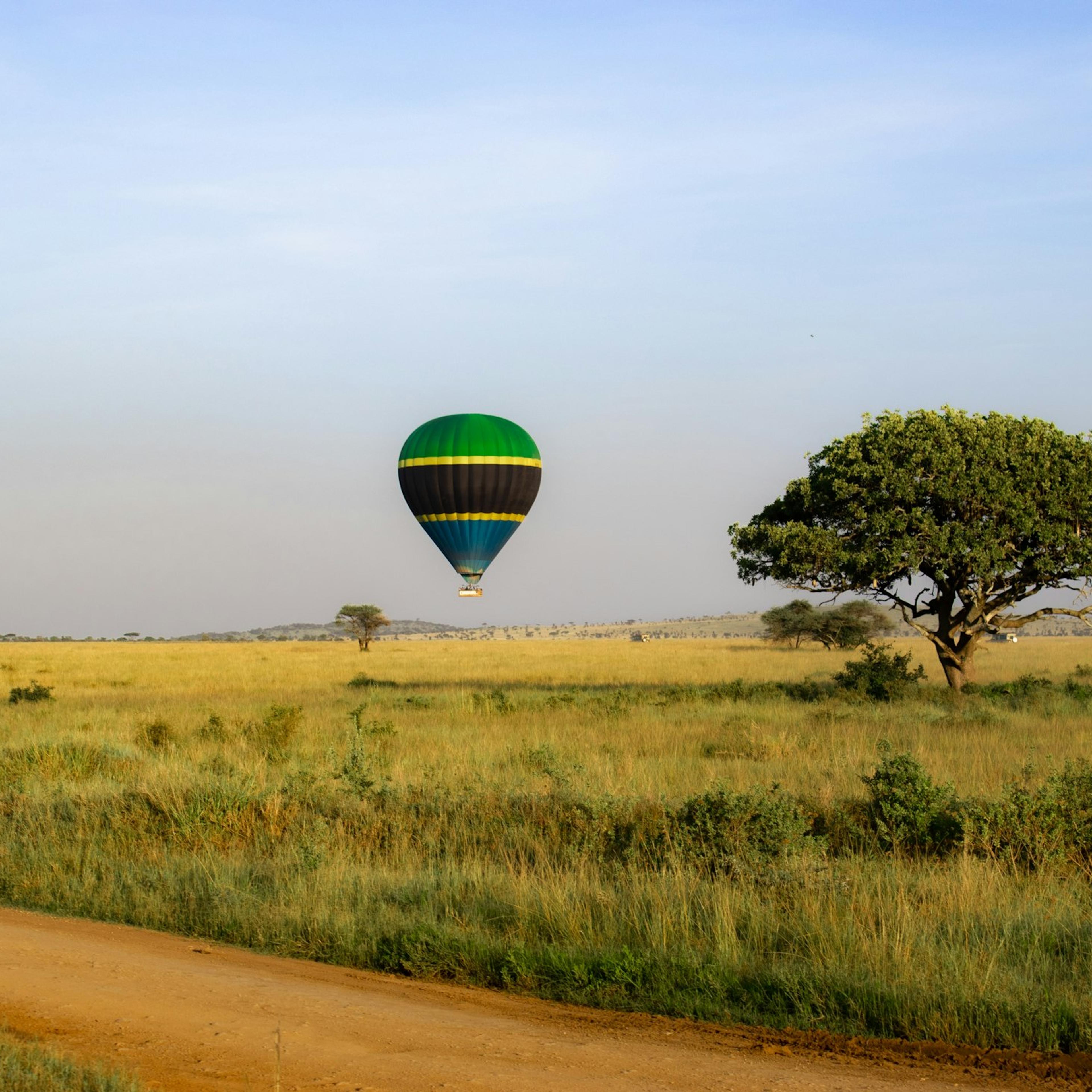 Une montgolfière au-dessus de la savane, près d'un acacia