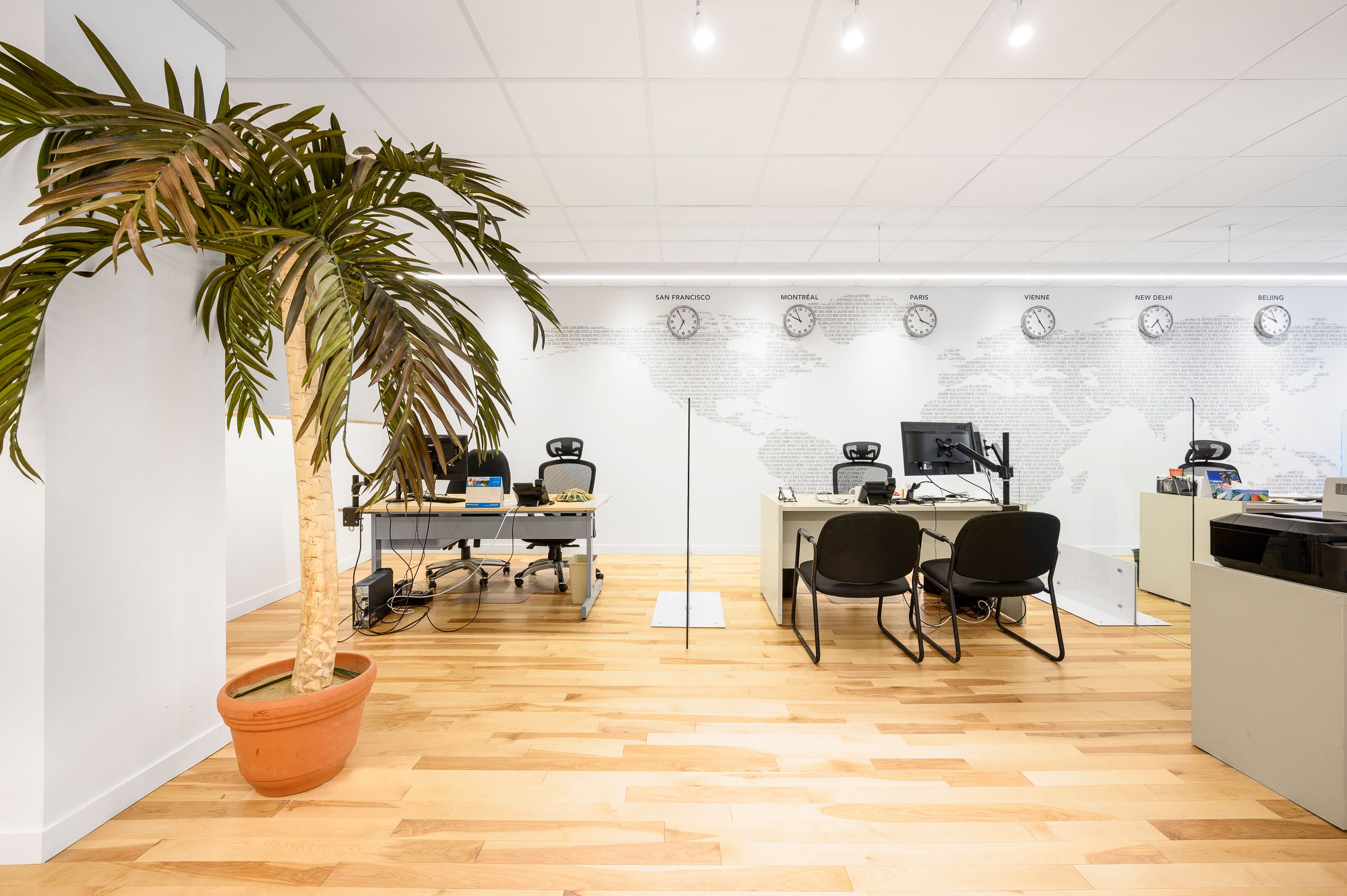 Le palmier de l'agence et les bureaux des conseillers, sous le mur des horloges