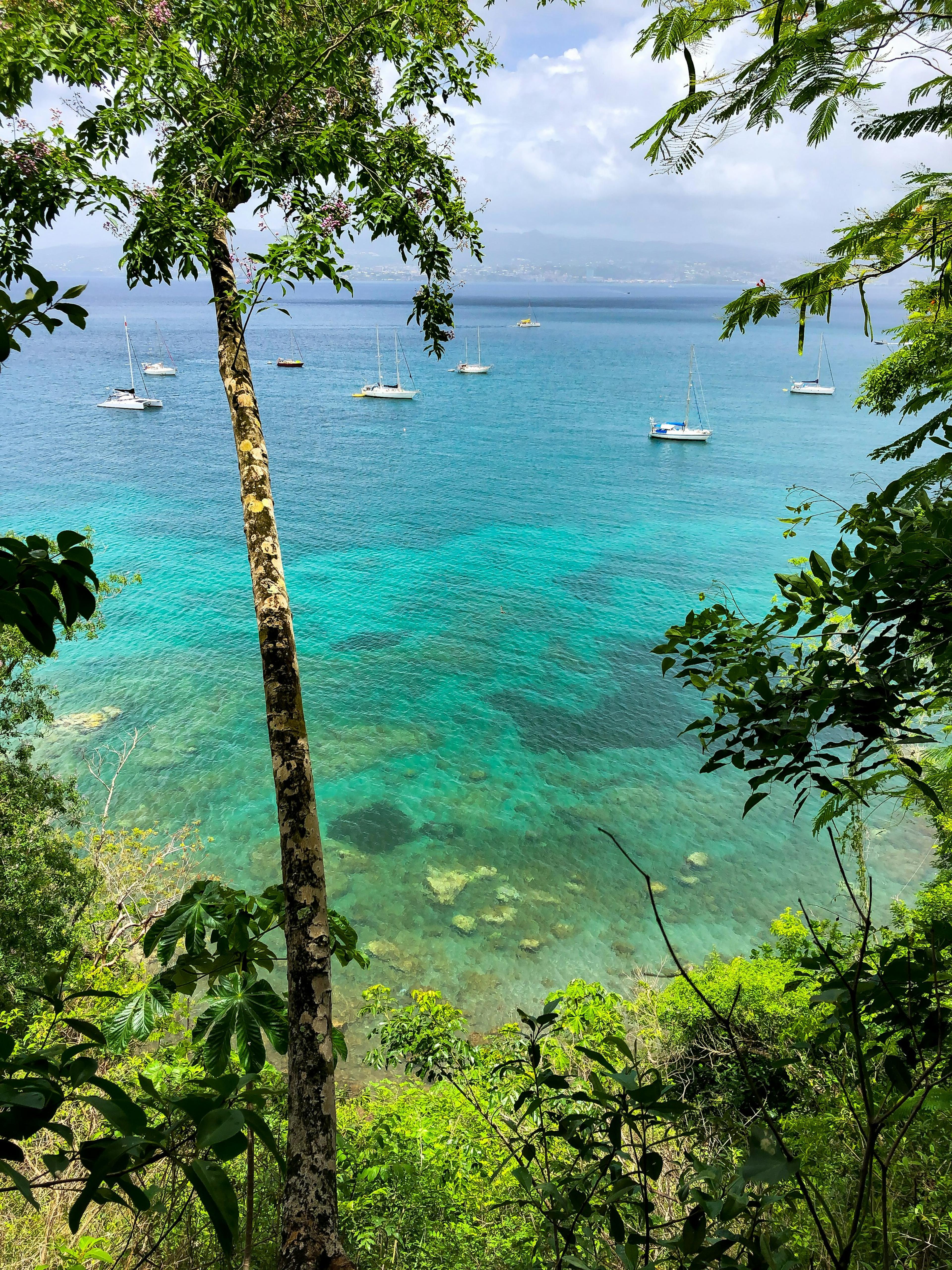 Turquoise water in a bay at Les Trois-Îlets, between palm trees