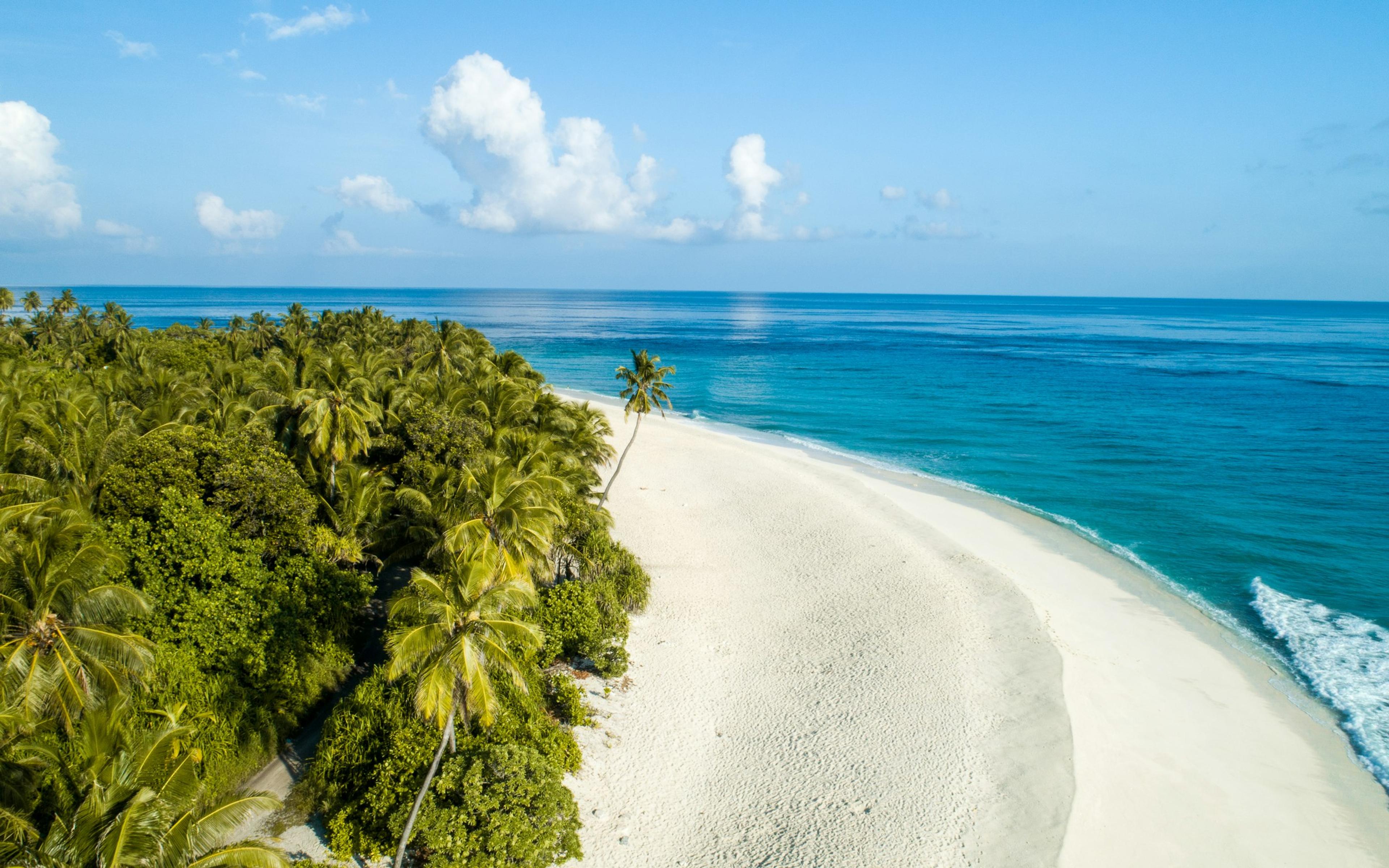 Une longue plage de sable blanc bordée de palmiers, vue du haut