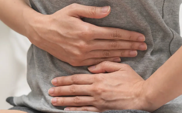 Digestion et énergie : pourquoi tout commence dans l’intestin