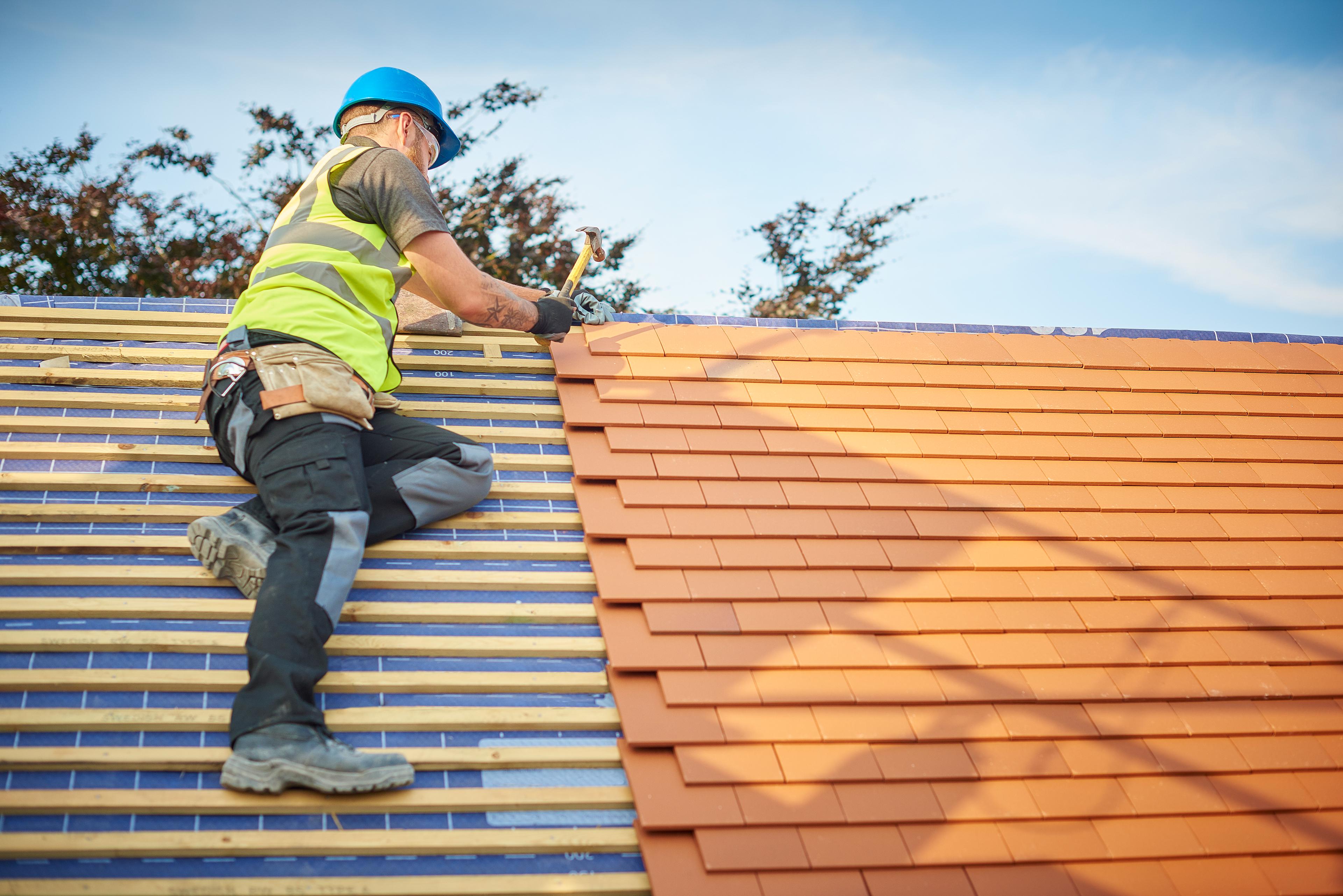 Image of man standing on a slate roof with steps​​​​‌﻿‍﻿​‍​‍‌‍﻿﻿‌﻿​‍‌‍‍‌‌‍‌﻿‌‍‍‌‌‍﻿‍​‍​‍​﻿‍‍​‍​‍‌﻿​﻿‌‍​‌‌‍﻿‍‌‍‍‌‌﻿‌​‌﻿‍‌​‍﻿‍‌‍‍‌‌‍﻿﻿​‍​‍​‍﻿​​‍​‍‌‍‍​‌﻿​‍‌‍‌‌‌‍‌‍​‍​‍​﻿‍‍​‍​‍​‍﻿﻿‌﻿​﻿‌﻿‌​‌﻿‌‌‌‍‌​‌‍‍‌‌‍﻿﻿​‍﻿﻿‌‍‍‌‌‍﻿‍‌﻿‌​‌‍‌‌‌‍﻿‍‌﻿‌​​‍﻿﻿‌‍‌‌‌‍‌​‌‍‍‌‌﻿‌​​‍﻿﻿‌‍﻿‌‌‍﻿﻿‌‍‌​‌‍‌‌​﻿﻿‌‌﻿​​‌﻿​‍‌‍‌‌‌﻿​﻿‌‍‌‌‌‍﻿‍‌﻿‌​‌‍​‌‌﻿‌​‌‍‍‌‌‍﻿﻿‌‍﻿‍​﻿‍﻿‌‍‍‌‌‍‌​​﻿﻿‌​﻿​﻿​﻿​﻿​﻿‌​​﻿‍‌​﻿‍‌​﻿​﻿​﻿‌‌​﻿‌‍​‍﻿‌‌‍​‍​﻿‌﻿​﻿‌‌​﻿‌‍​‍﻿‌​﻿‌​​﻿​﻿‌‍​‌​﻿​‌​‍﻿‌​﻿‍​​﻿‍‌​﻿​‍​﻿‍​​‍﻿‌​﻿​​‌‍‌‌‌‍‌‌‌‍​‍​﻿​‌​﻿​‍‌‍‌‍‌‍‌​​﻿​﻿​﻿​‍​﻿‌﻿‌‍‌‍​﻿‍﻿‌﻿‌​‌﻿‍‌‌﻿​​‌‍‌‌​﻿﻿‌‌﻿​﻿‌‍﻿​‌‍‍‌‌‍‌​‌‍‌‌​﻿‍﻿‌﻿​​‌‍​‌‌﻿‌​‌‍‍​​﻿﻿‌‌‍‍‌‌‍﻿‌‌‍​‌‌‍‌﻿‌‍‌‌​‍﻿‍‌‍​‌‌‍﻿​‌﻿‌​​﻿﻿﻿‌‍​‍‌‍​‌‌﻿​﻿‌‍‌‌‌‌‌‌‌﻿​‍‌‍﻿​​﻿﻿‌​‍‌‌​﻿​‍‌​‌‍‌﻿​﻿‌﻿‌​‌﻿‌‌‌‍‌​‌‍‍‌‌‍﻿﻿​‍‌‍‌‍‍‌‌‍‌​​﻿﻿‌​﻿​﻿​﻿​﻿​﻿‌​​﻿‍‌​﻿‍‌​﻿​﻿​﻿‌‌​﻿‌‍​‍﻿‌‌‍​‍​﻿‌﻿​﻿‌‌​﻿‌‍​‍﻿‌​﻿‌​​﻿​﻿‌‍​‌​﻿​‌​‍﻿‌​﻿‍​​﻿‍‌​﻿​‍​﻿‍​​‍﻿‌​﻿​​‌‍‌‌‌‍‌‌‌‍​‍​﻿​‌​﻿​‍‌‍‌‍‌‍‌​​﻿​﻿​﻿​‍​﻿‌﻿‌‍‌‍​‍‌‍‌﻿‌​‌﻿‍‌‌﻿​​‌‍‌‌​﻿﻿‌‌﻿​﻿‌‍﻿​‌‍‍‌‌‍‌​‌‍‌‌​‍‌‍‌﻿​​‌‍​‌‌﻿‌​‌‍‍​​﻿﻿‌‌‍‍‌‌‍﻿‌‌‍​‌‌‍‌﻿‌‍‌‌​‍﻿‍‌‍​‌‌‍﻿​‌﻿‌​​‍​‍‌﻿﻿‌