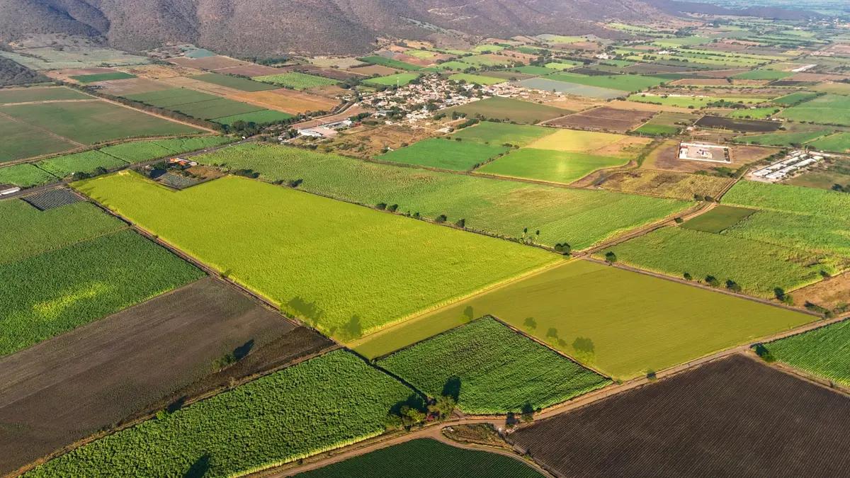 PREDIO RUSTICO "EL PABELLÓN" EN EL MENTIDERO, JALISCO. - Imagen 1
