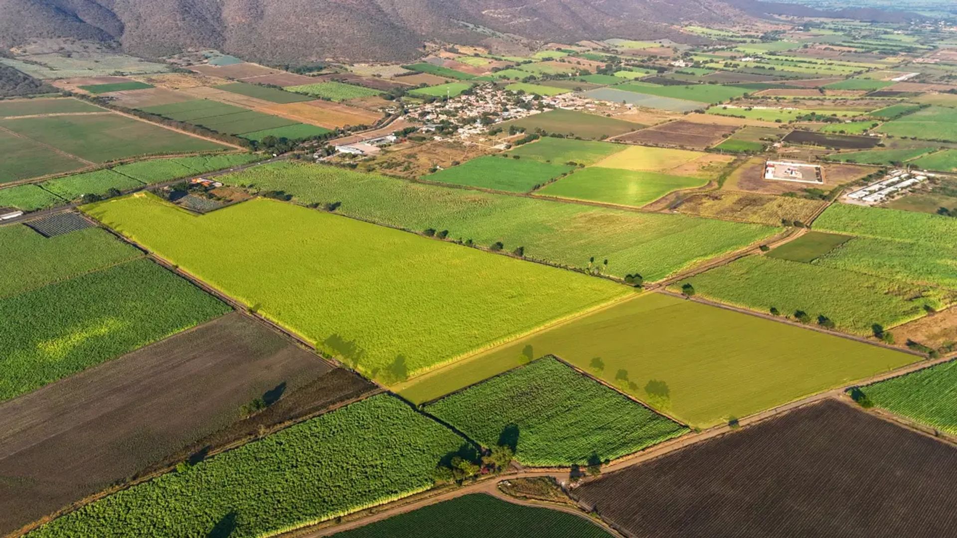 PREDIO RUSTICO "EL PABELLÓN" EN EL MENTIDERO, JALISCO.
