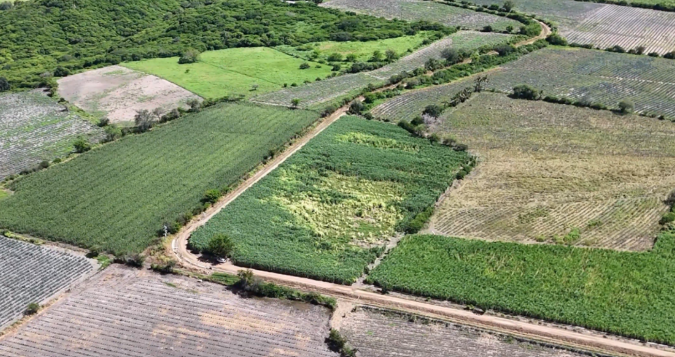CAÑA EN SAN MIGUEL, MUNICIPIO DEL LIMON, JAL. - Imagen 3