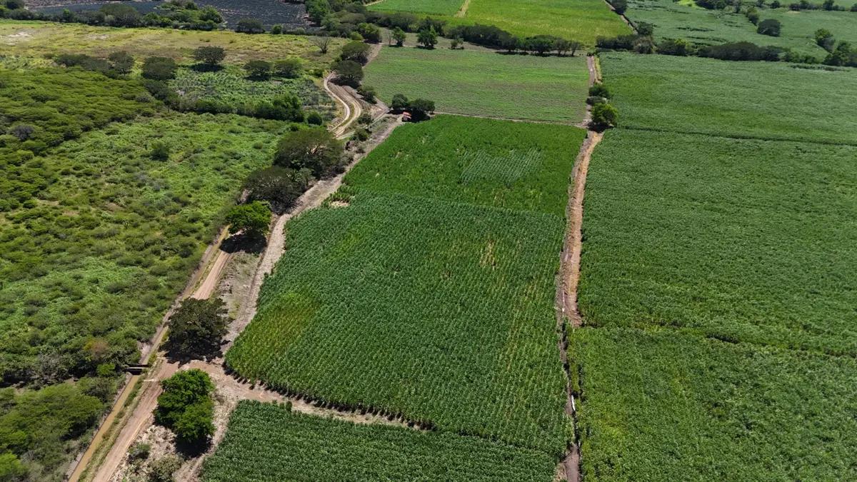 SE VENDEN 3 HECTÁREAS PREDIO EJIDAL - Imagen 2