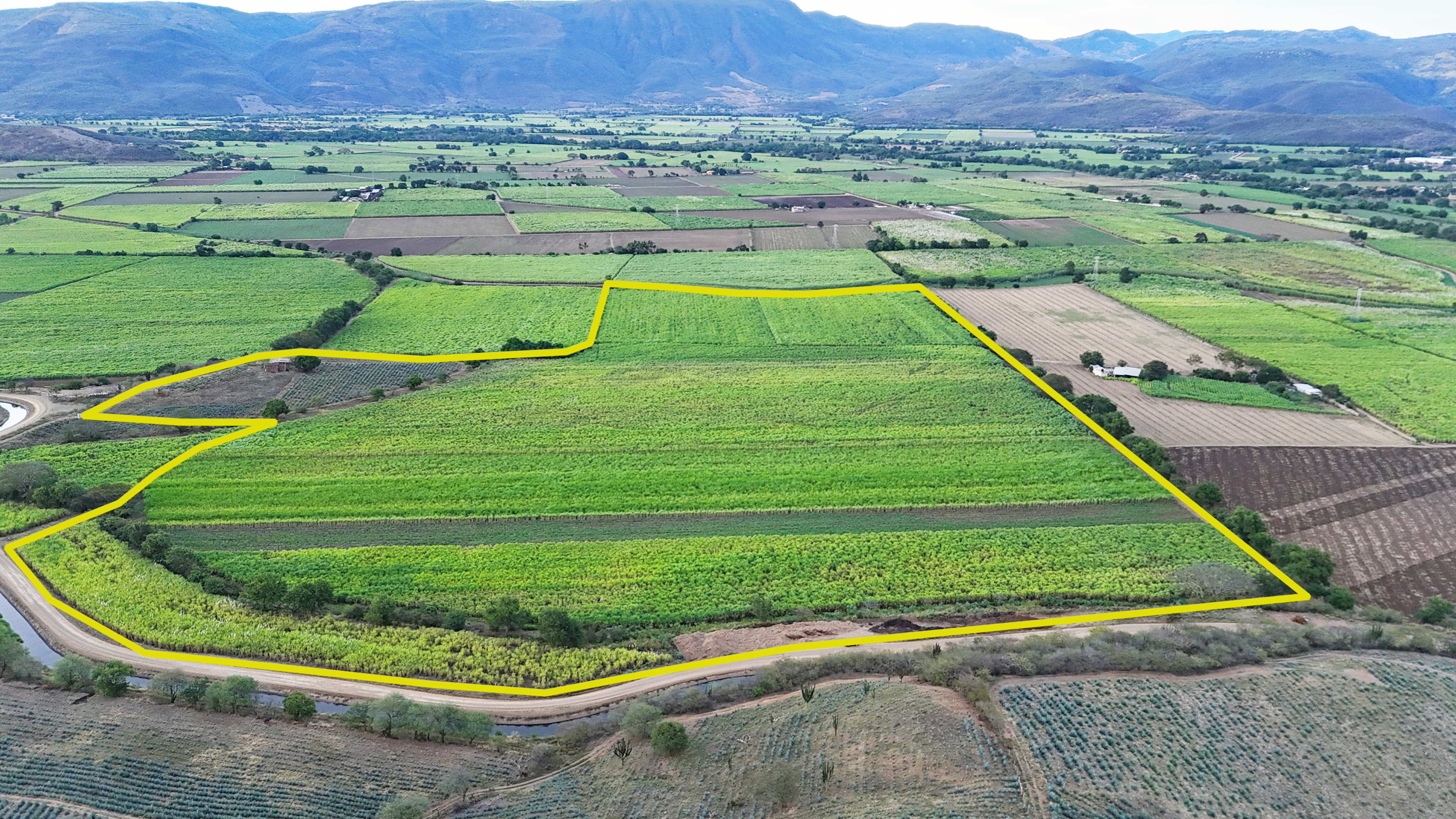 PREDIO RUSTICO LAS PAROTAS, AUTLAN, JALISCO. - Imagen 1