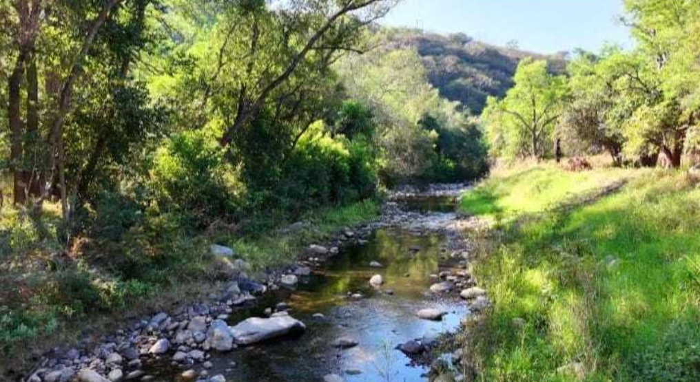 Terreno en venta en La Cofradía, Tonaya, Jalisco - Imagen 2