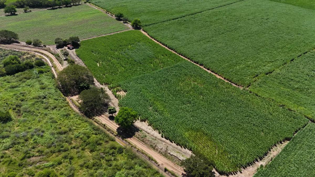 SE VENDEN 3 HECTÁREAS PREDIO EJIDAL - Imagen 1