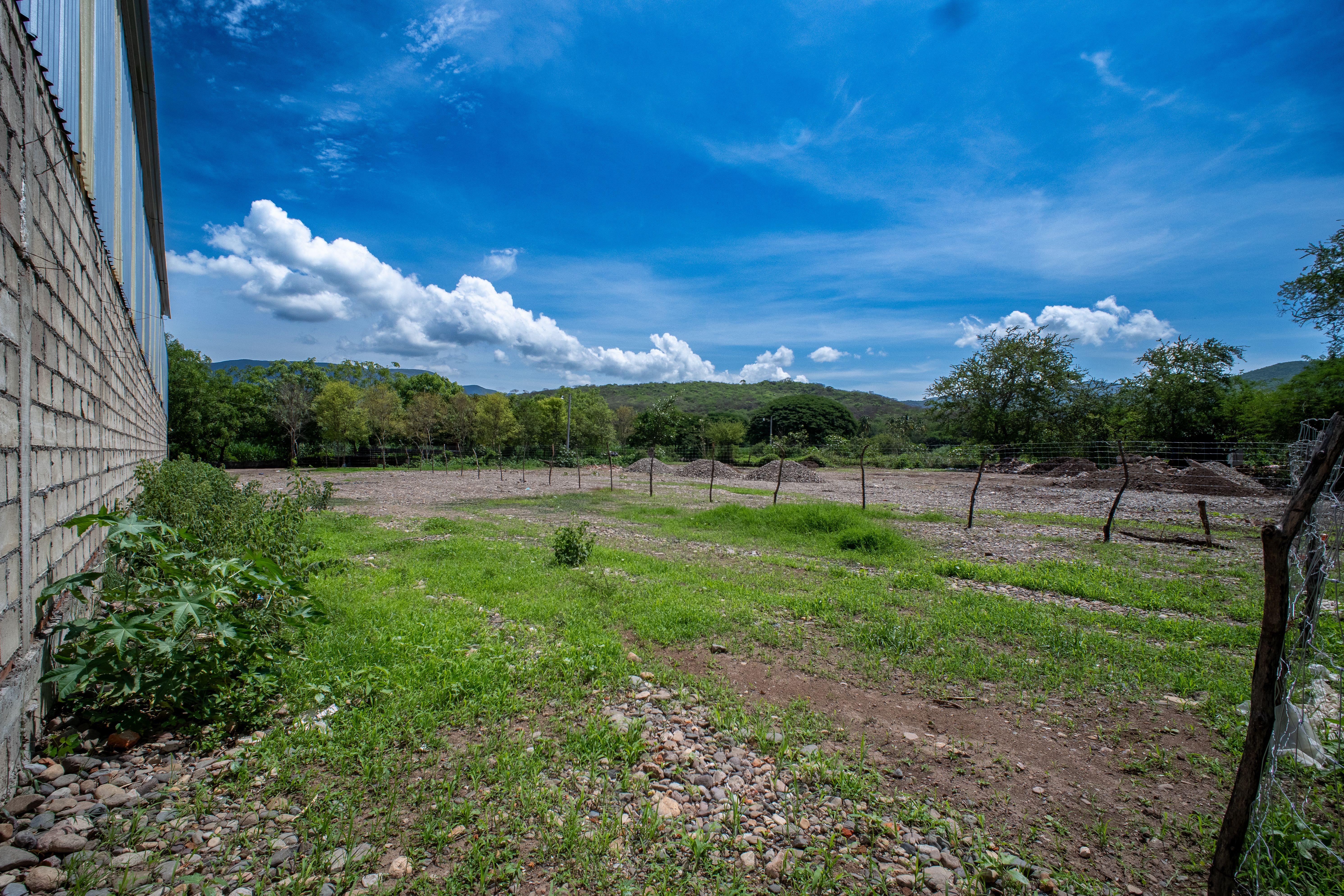 Terreno en venta en Patria, El Grullo, Jalisco - Imagen 3