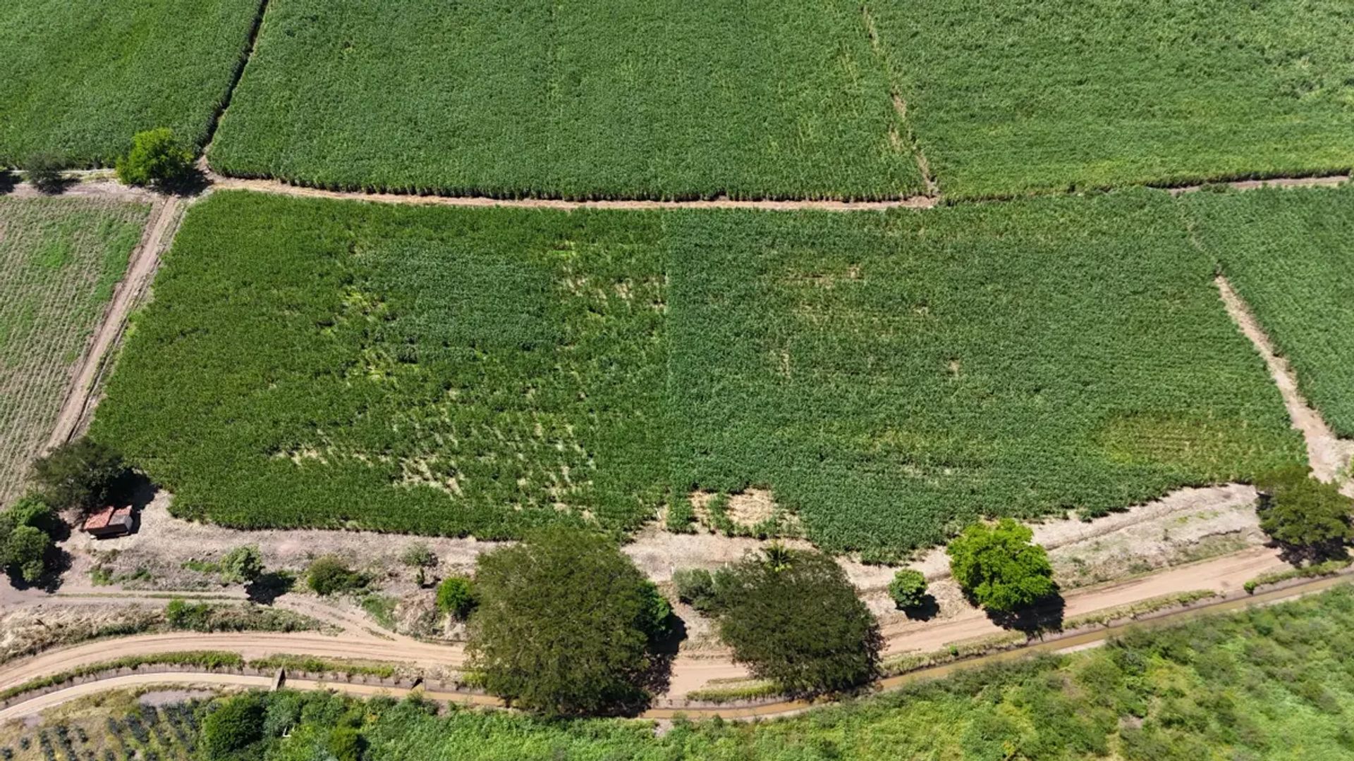 SE VENDEN 3 HECTÁREAS PREDIO EJIDAL