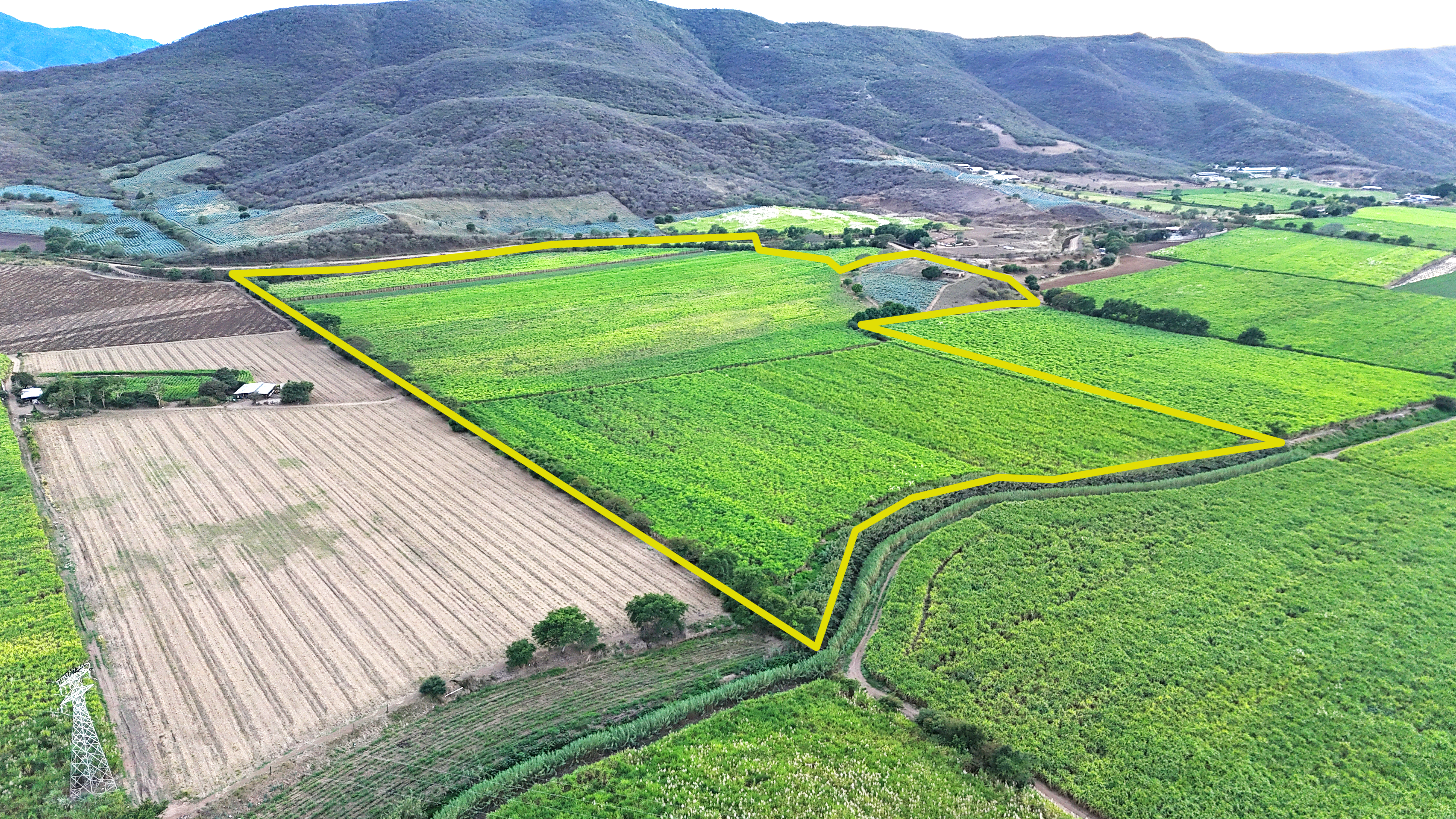 PREDIO RUSTICO LAS PAROTAS, AUTLAN, JALISCO. - Imagen 3