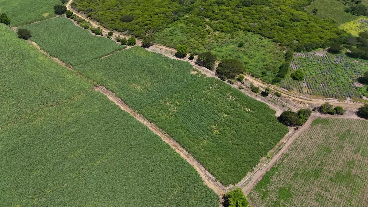 SE VENDEN 3 HECTÁREAS PREDIO EJIDAL - Imagen 3