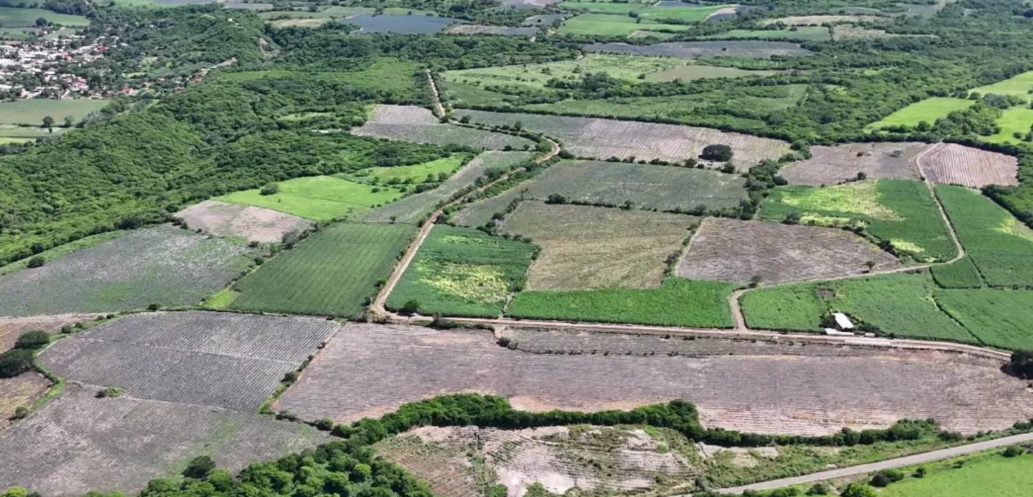 CAÑA EN SAN MIGUEL, MUNICIPIO DEL LIMON, JAL. - Imagen 2