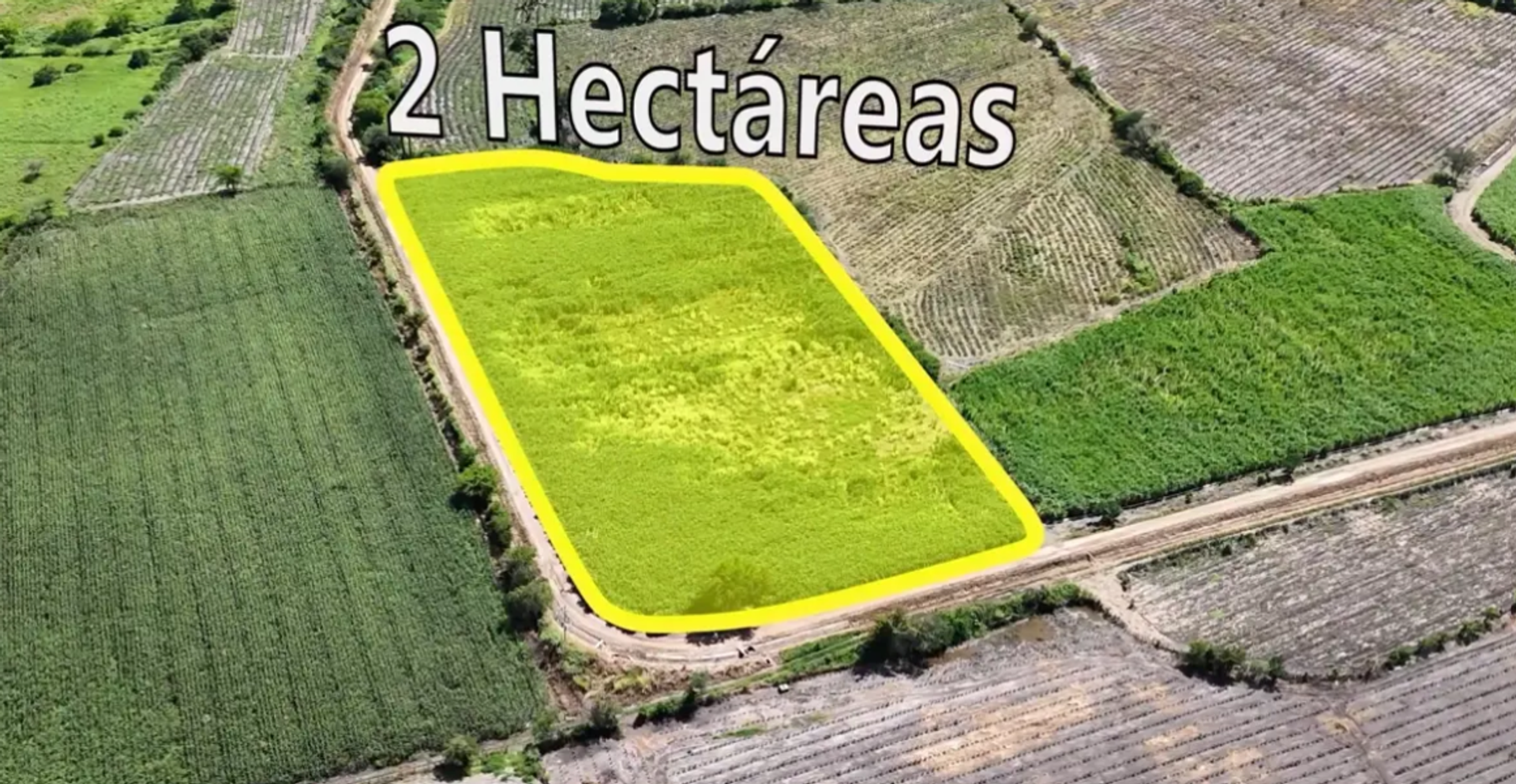 CAÑA EN SAN MIGUEL, MUNICIPIO DEL LIMON, JAL.