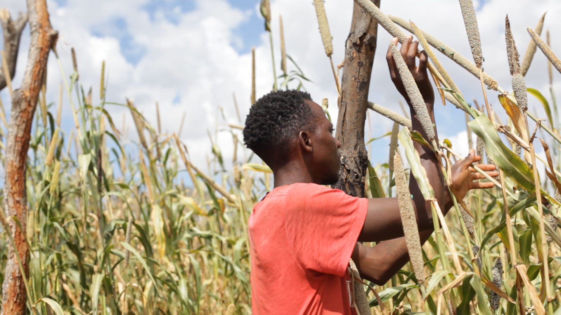Clance Mutonga, a resident of Mukuni Village, explains how Mati helped him protect his crops from pest damage.