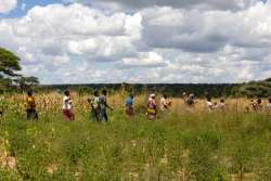 Two women farmers in India harvest crops