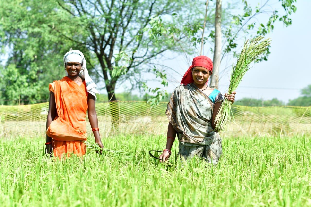 Mati’s farmer partner in Nawagaon Chhattisgarh