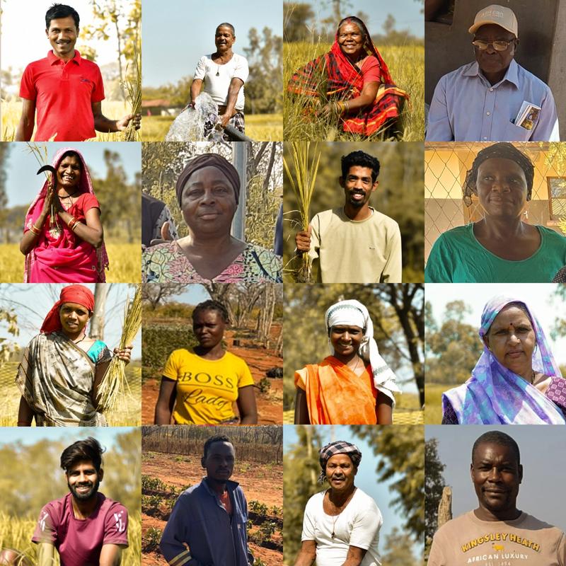 Collage of farmers