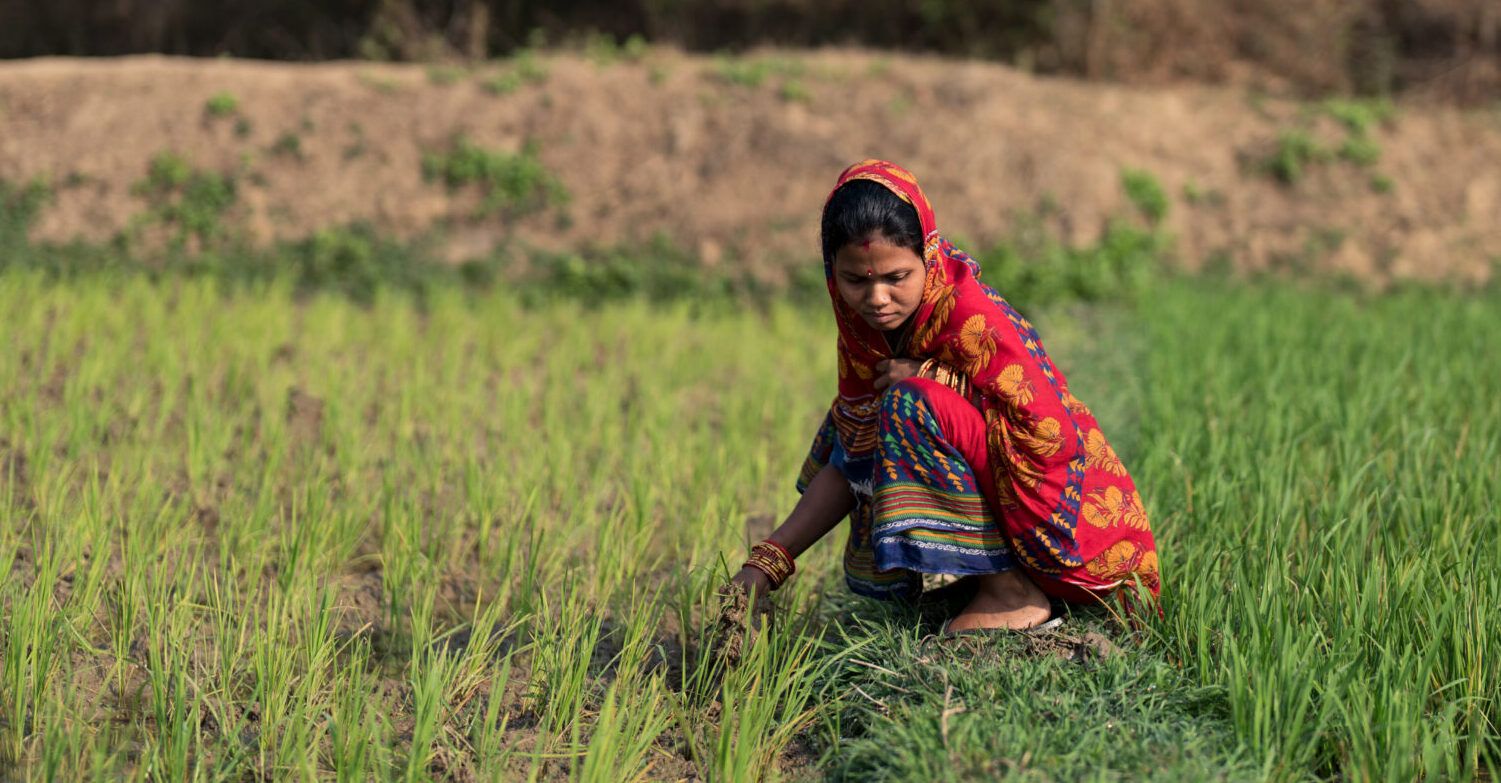 Urmila Devi inspects her crops