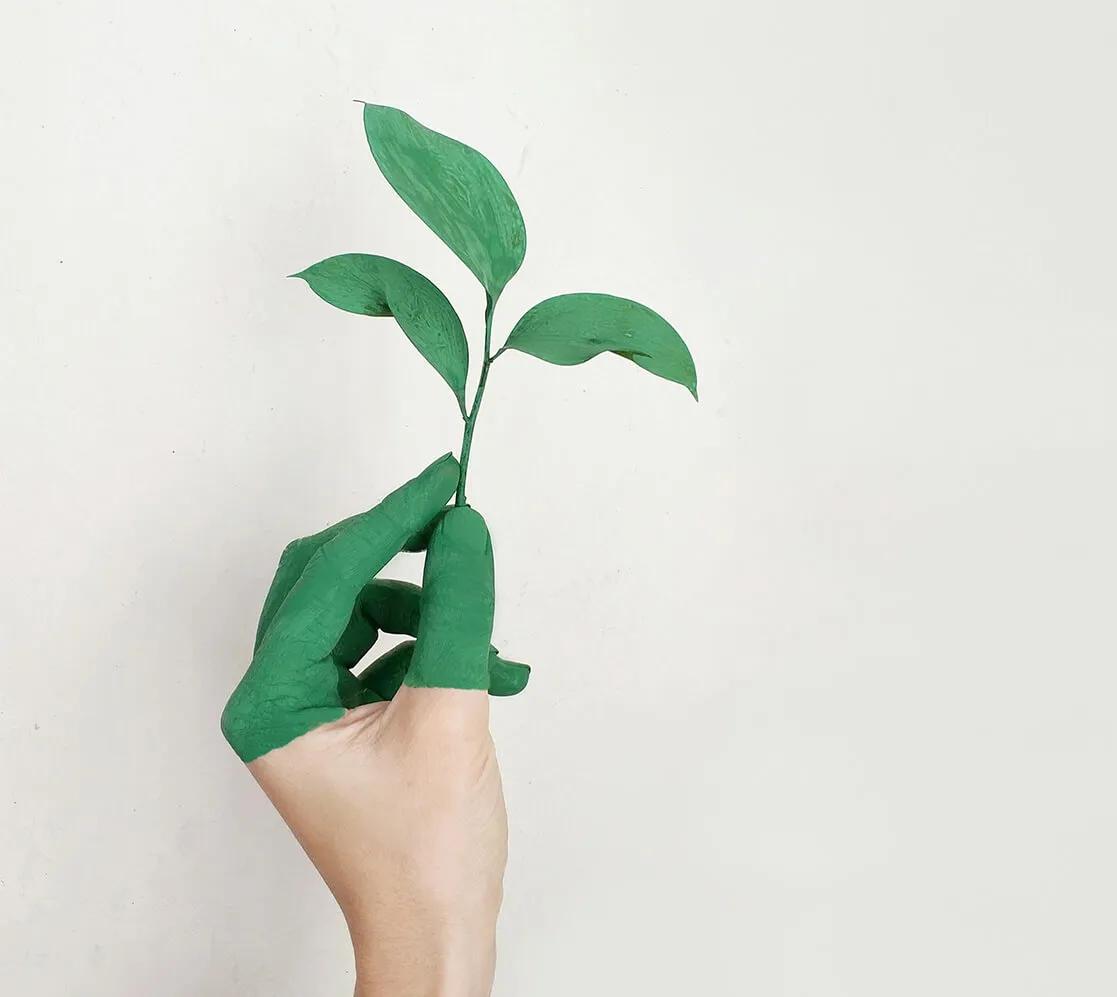 The Unwasted Plastic