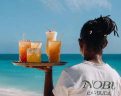Nobu Barbuda — detail 1