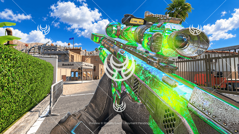 DSR50 with W115 camo — Black Ops II YouTube thumbnail