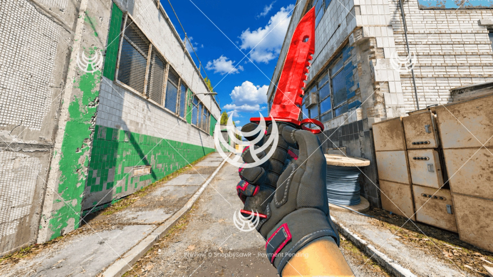 M9 Bayonet with Ruby camo — Counter-Strike 2 YouTube thumbnail