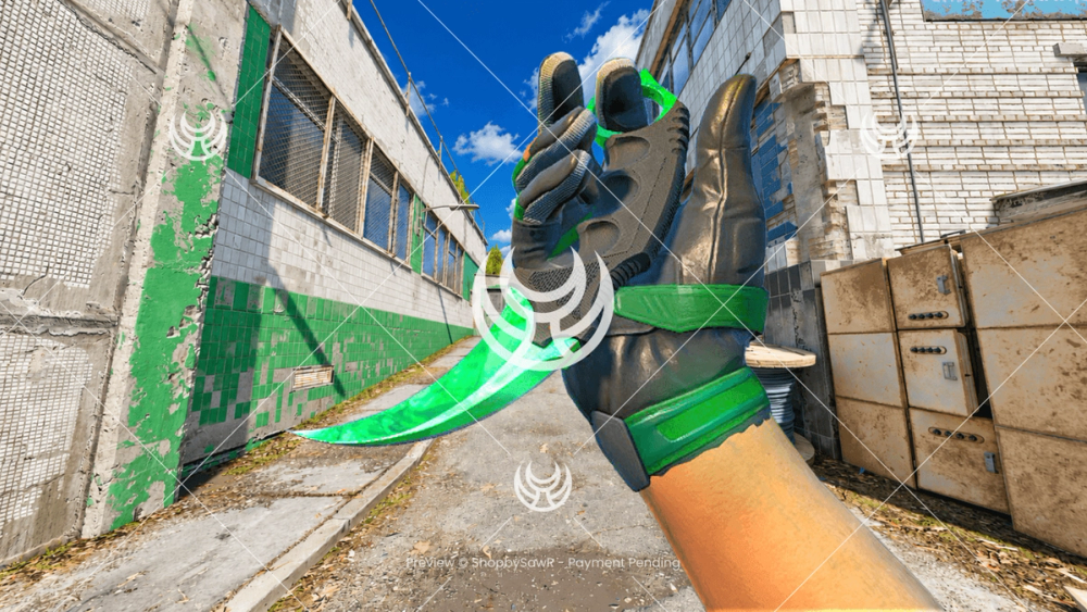 Karambit with Emerald camo — Counter-Strike 2 YouTube thumbnail