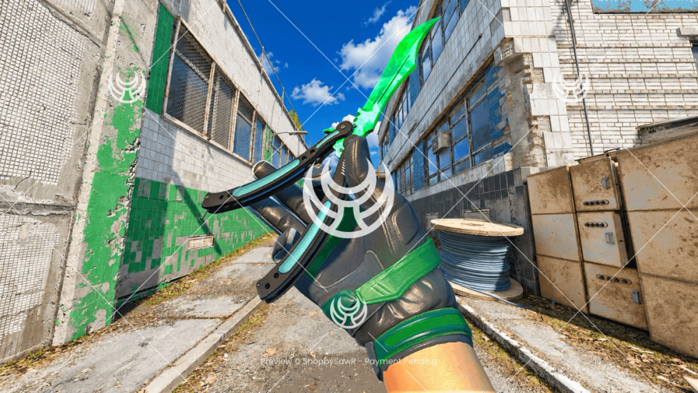 Butterfly Knife with Emerald camo — Counter-Strike 2 YouTube thumbnail
