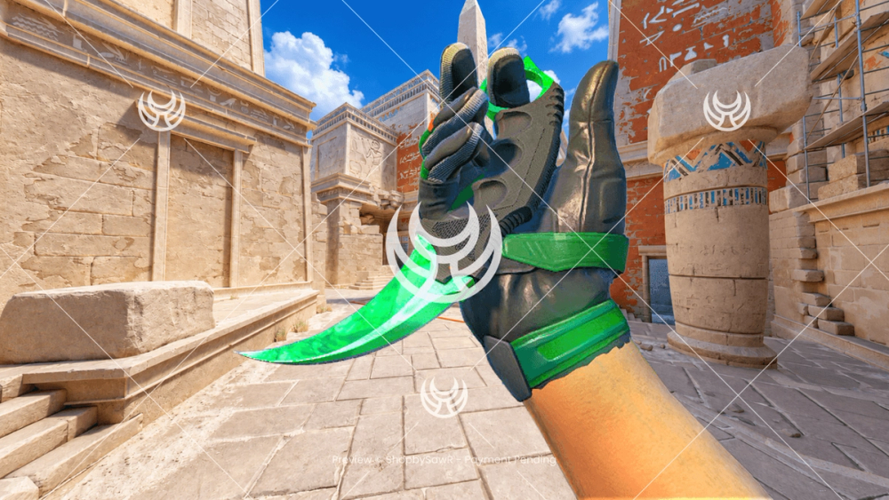 Karambit with Emerald camo — Counter-Strike 2 YouTube thumbnail
