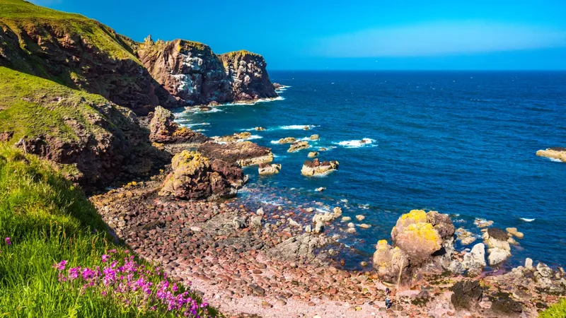 Ultimate Scotland Coastal Road Trip: Explore Best Routes and Hidden Gems