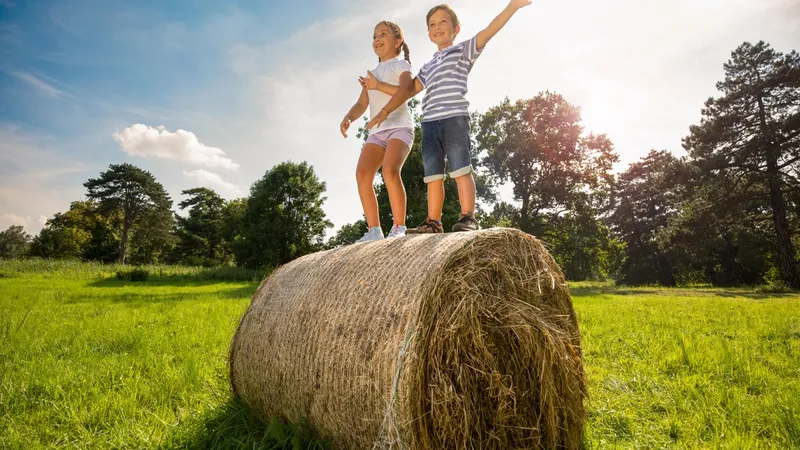 Ultimate things to do in Cork with kids: Ireland Road trip Itinerary with kids in 2025