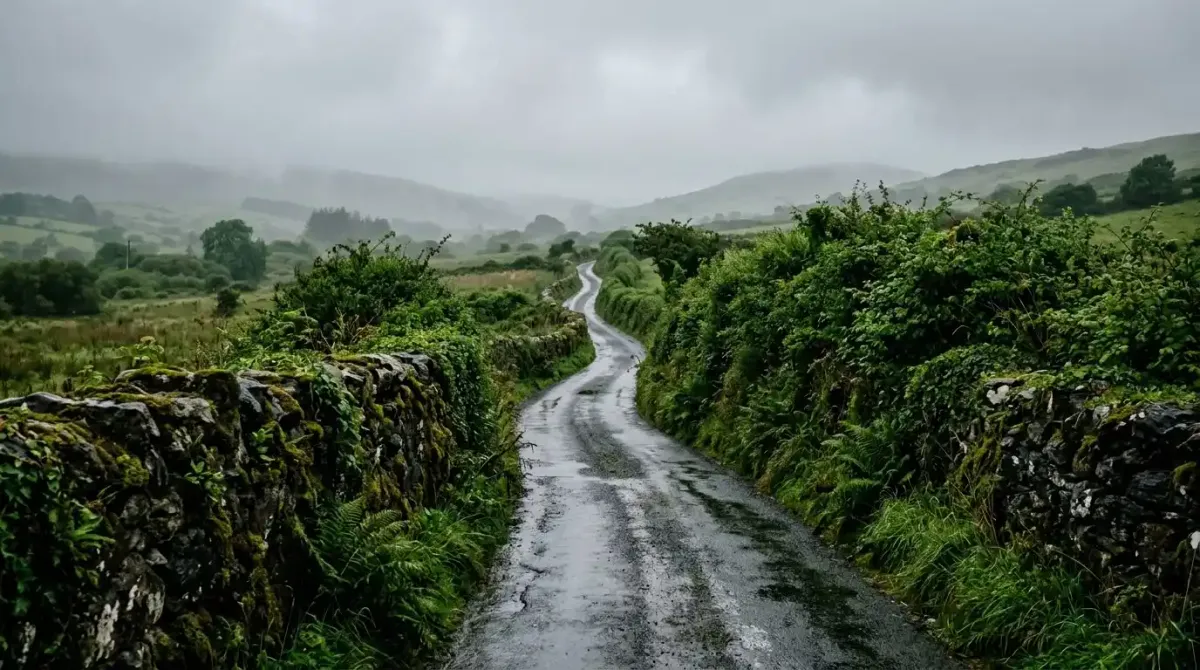 A narrow agricultural boreen road enclosed by traditional stone walls in rural Ireland.