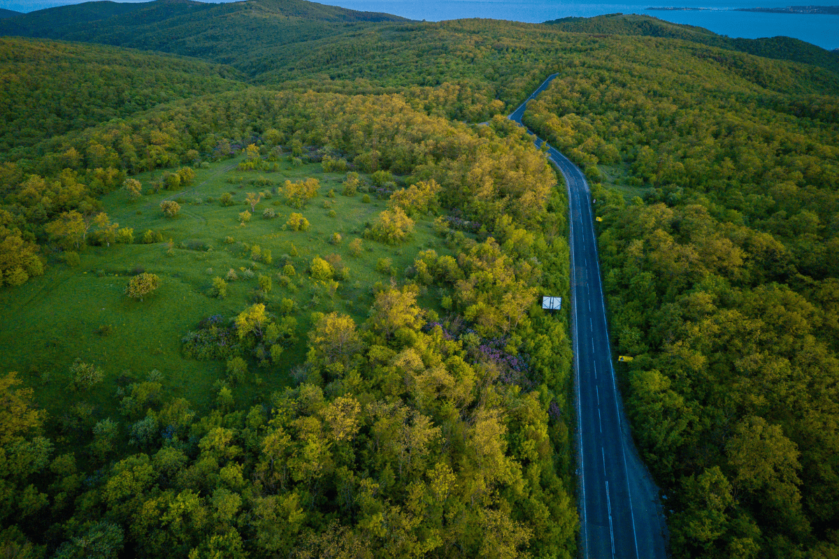 Explore Ireland's National Parks by Car: Best Routes and Tips