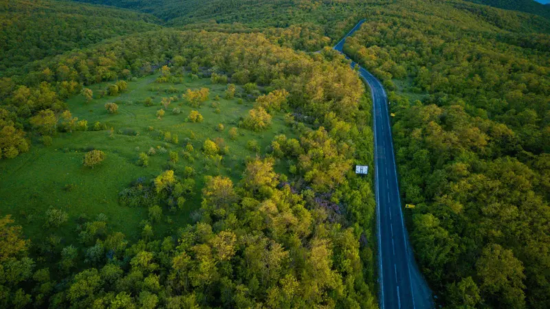 Explore Ireland's National Parks by Car: Best Routes and Tips