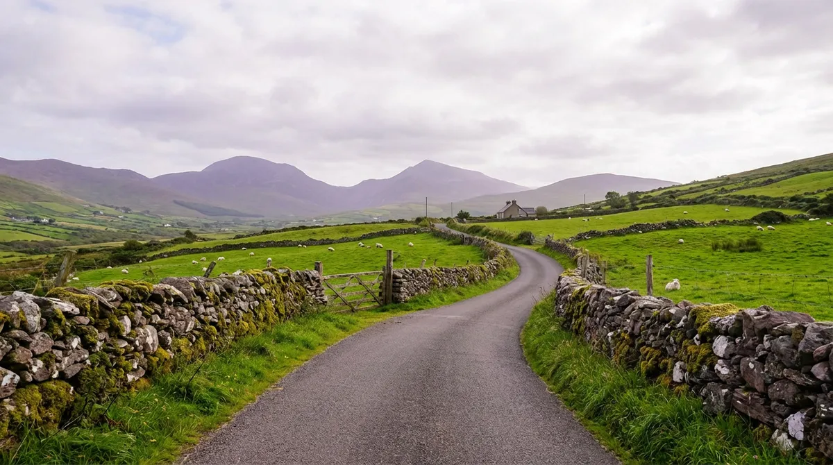 Winding narrow country road in County Kerry, Ireland, flanked by stone walls and green fields