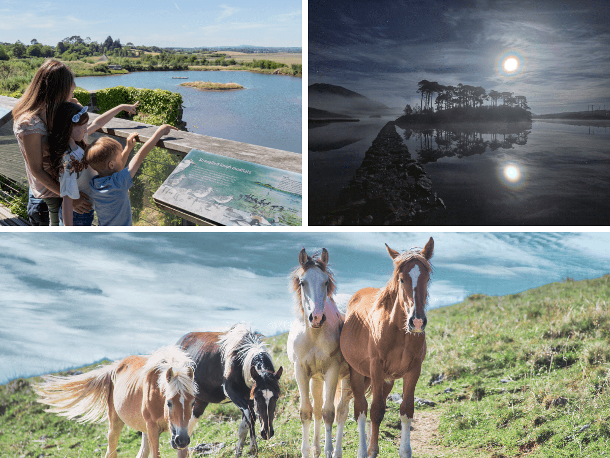 14 Magical Stops on Your Self-Drive Ireland Road Trip for an Unforgettable Experience