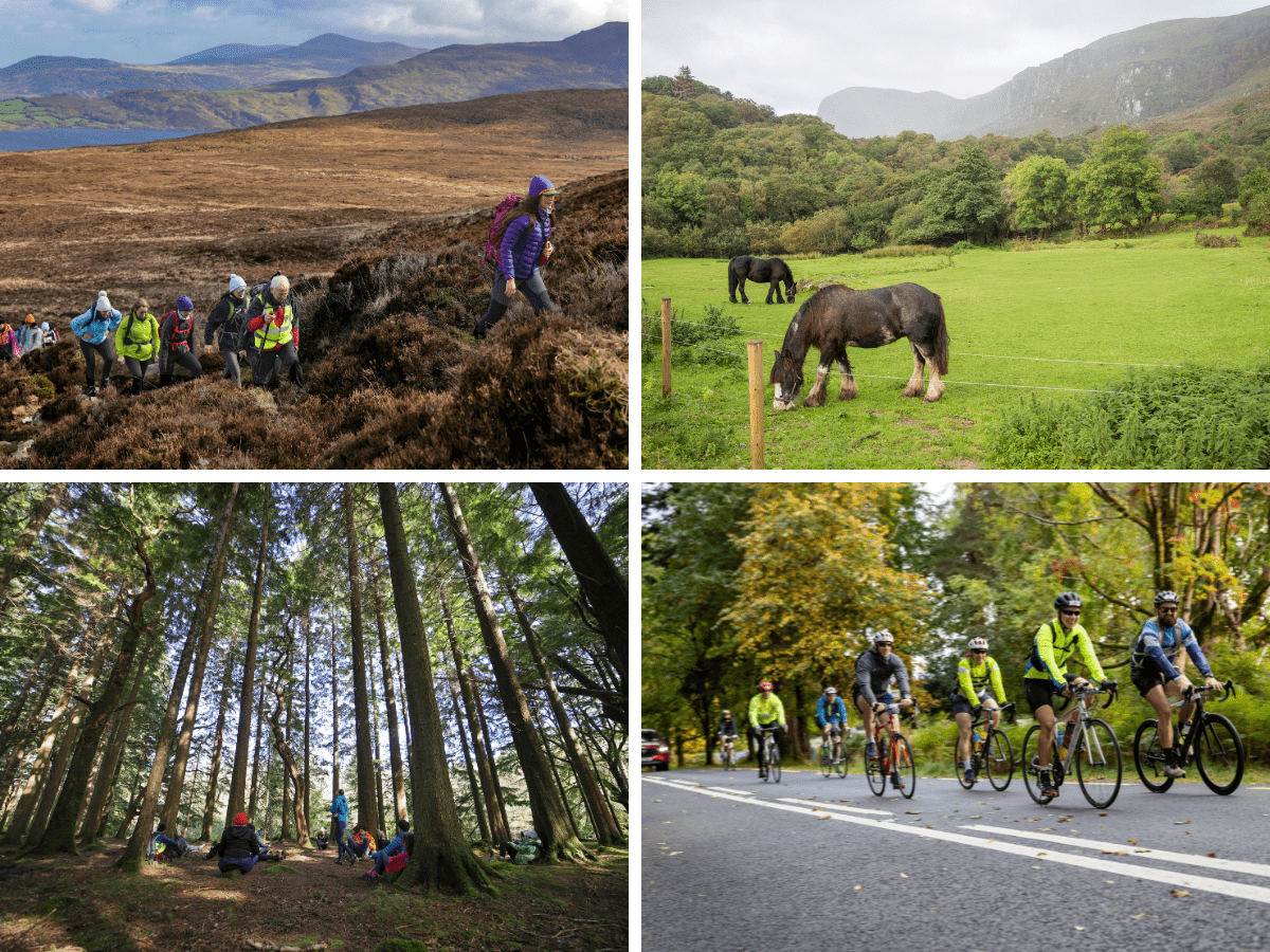 Killarney National Park Ireland: 8 Best Things to Do in Killarney Ireland for an Unforgettable Trip
