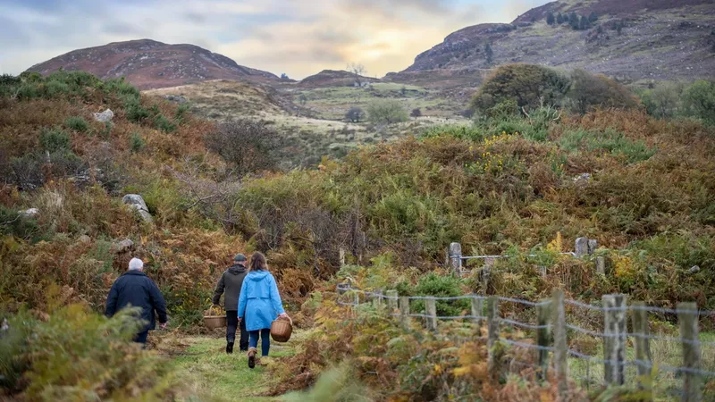 Armagh to Dublin: 7 Breathtaking Storybook Stops Along Ireland’s Historic Heartland