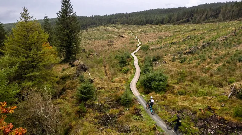 Ballyhoura Walks, Mountain Biking Thrills, and Hiking Adventures: 10 Amazing Trails for Your Bucket List