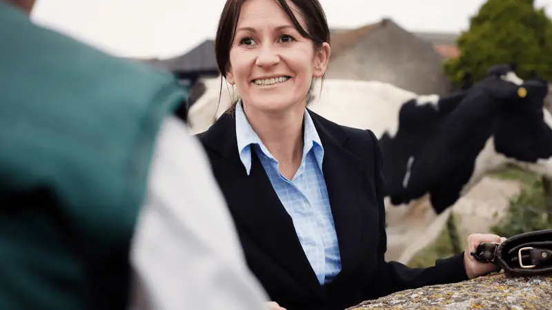 Local Insights: Meeting Ireland's People on a Self-Drive Tour