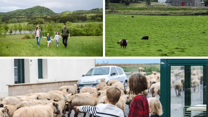 Unforgettable Ireland Family Road Trips: Best Routes and Tips