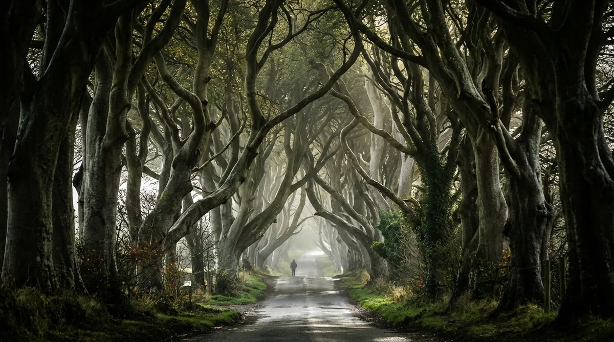 The iconic Dark Hedges avenue, a Game of Thrones filming location in Northern Ireland