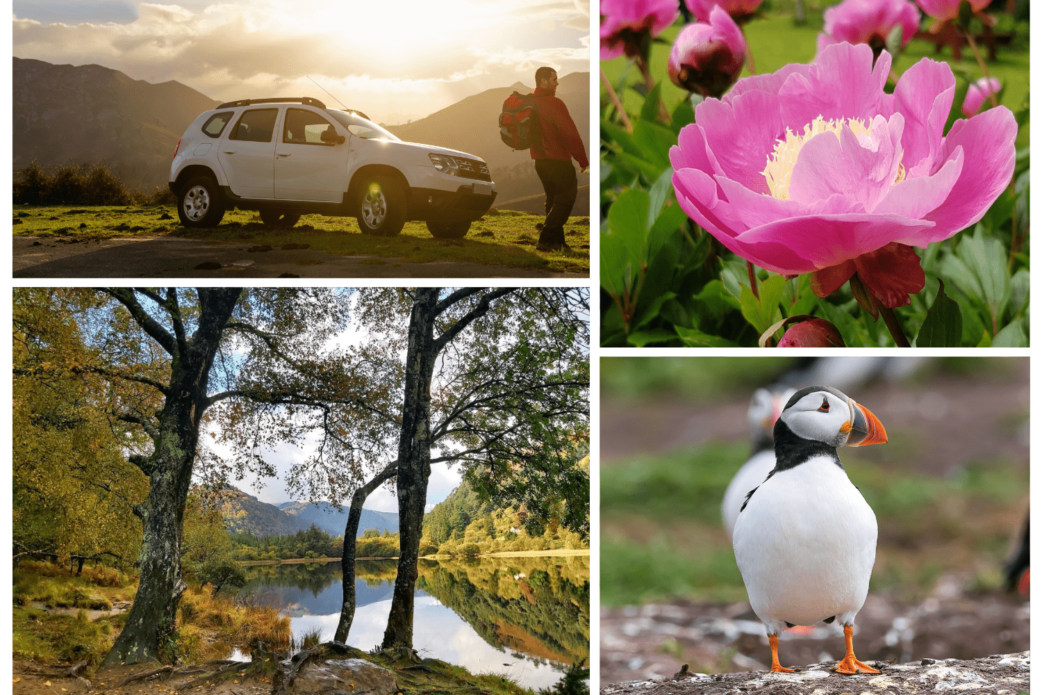 Ireland Road Trip Itinerary: Best Routes, Seasonal Highlights, and Travel Tips