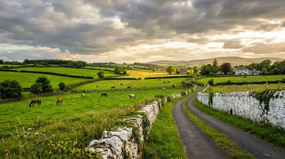 A perfectly balanced driving route through the peaceful, scenic pastures of the Irish countryside.