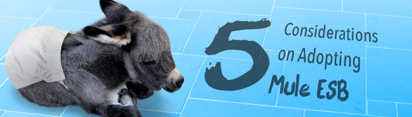 5 Considerations on Adopting Mule