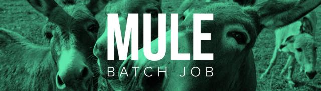 Mule Batch Job