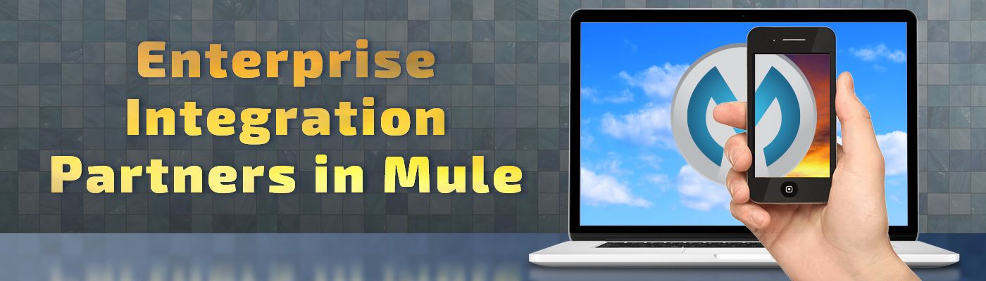 Enterprise Integration Partners in MuleSoft